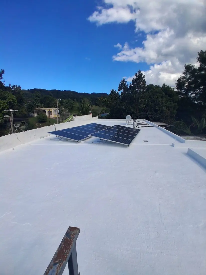 Desde el suelo, cielo despejado — Acabado uniforme sin marcas de rodillo.